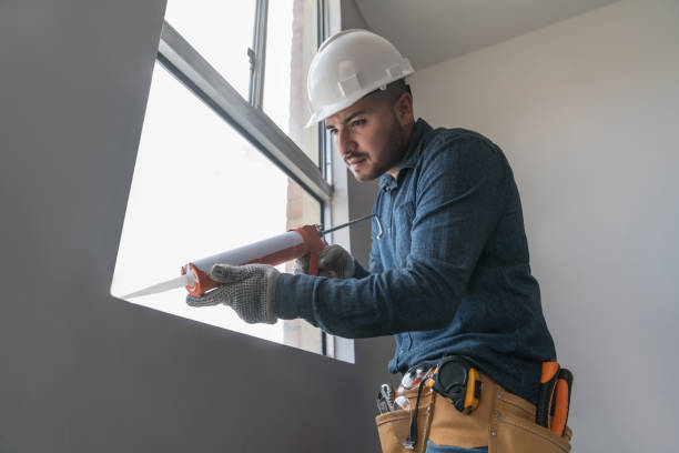 Best Skylight Installation  in Coal City, IL